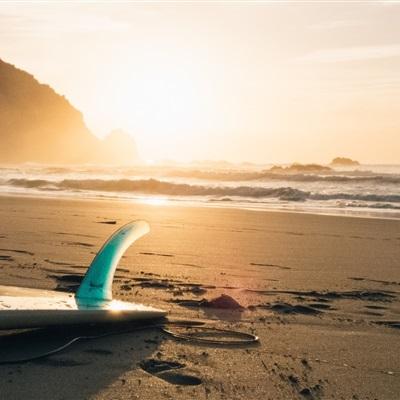 金年会app官方下载