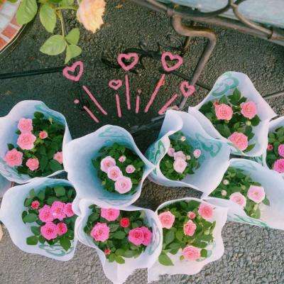 金年会app官方下载截图